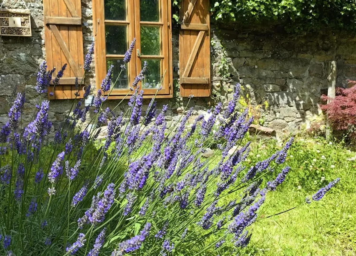 Parenthese Bed and Breakfast Le Vivier-sur-Mer Γαλλία